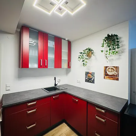 Waldblick Doppelzimmer-zwischen Baeumen&traeumen * Seligenstadt